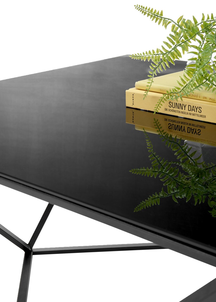 Moderner Couchtisch mit schwarzer Glasplatte, dekoriert mit Büchern und einem Farn, seitliche Perspektive
