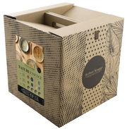 Verpackung des Tellersets Nature Essence 12-t von Arthur Krupp, schräg von vorne fotografiert, mit dekorativem Design und Produktinformationen auf der Vorderseite.