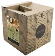 Verpackung des Tellersets Nature Essence 12-t von Arthur Krupp, schräg von vorne fotografiert, mit dekorativem Design und Produktinformationen auf der Vorderseite.