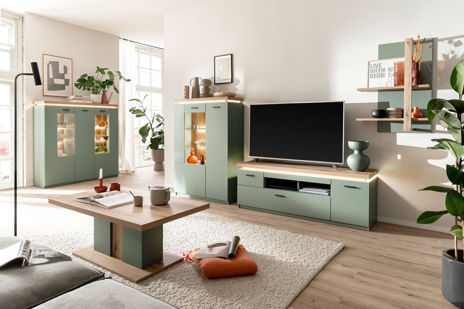 Modernes TV-Lowboard in einem stilvollen Wohnzimmer, frontal betrachtet, mit grünem Finish und Holzdetails, umgeben von dekorativen Elementen und Pflanzen.