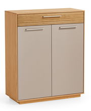 Schuhkommode aus Holz mit zwei Türen und einer Schublade, Frontansicht