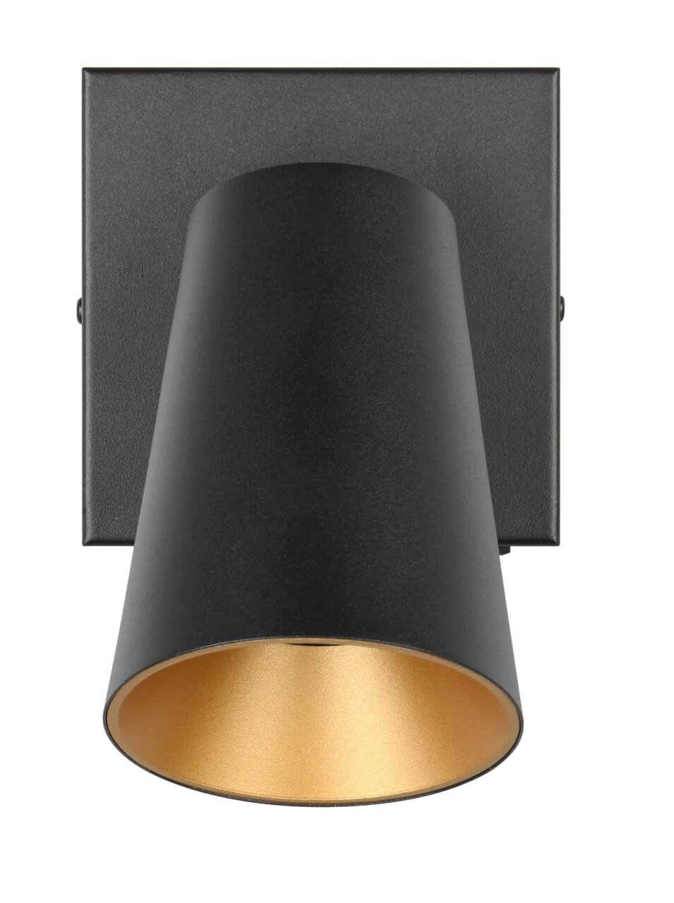 Schwarzer Strahler Sharp mit goldener Innenseite, Ansicht von vorne