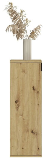 Frontale Ansicht eines schmalen Holzschranks mit natürlicher Holzmaserung, dekoriert mit einer Vase und getrockneten Pflanzen.