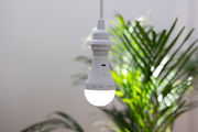 Hängende Akku-Leuchtmittel in einem hellen Raum mit grüner Pflanze im Hintergrund, seitliche Perspektive.