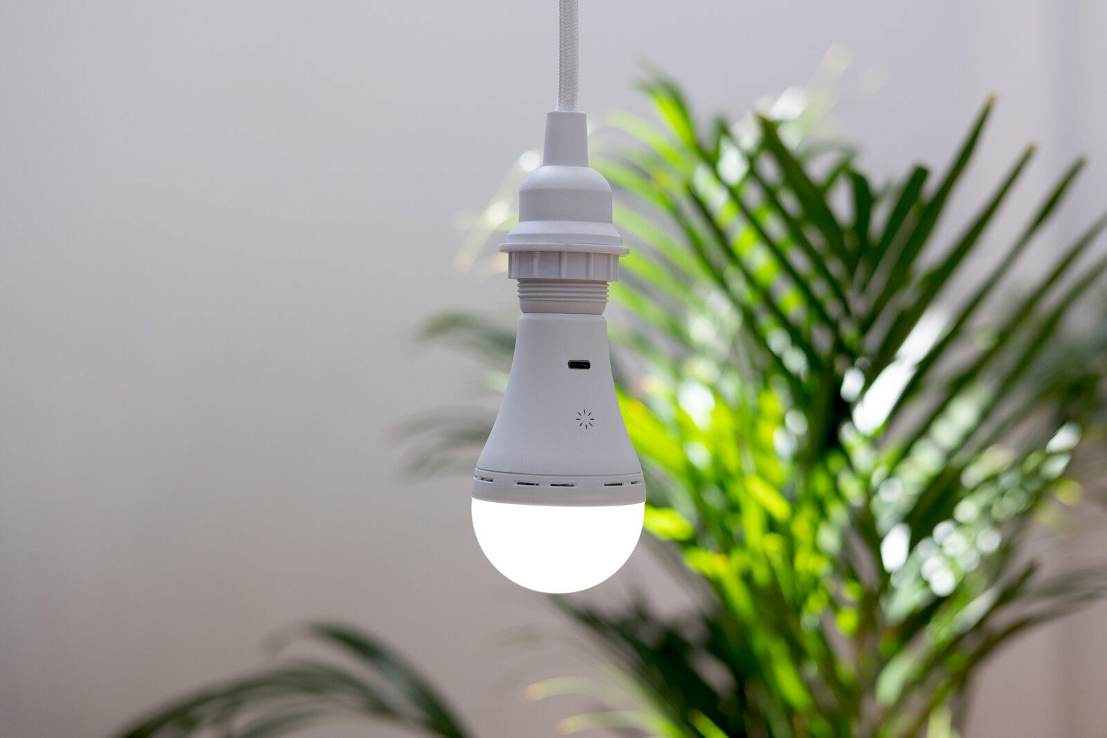 Newgarden Accu-lampen LAPERA Hängende Akku-Leuchtmittel in einem hellen Raum mit grüner Pflanze im Hintergrund, seitliche Perspektive.