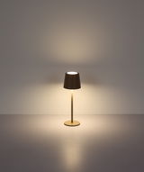 Moderne Tischleuchte mit braunem Lampenschirm, frontal betrachtet, auf einem schlichten Hintergrund.