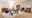 Landscape Esstisch BARNEY Landscape Esstisch BARNEY