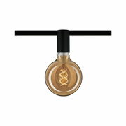 Deckenfassung mit einer großen, runden Glühbirne in seitlicher Perspektive