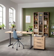 Moderner Arbeitsplatz mit elektrischem Schreibtischgestell und Tischplatte in einem hellen Raum mit grüner Akzentwand, Pflanzen und Regalen. Perspektive von vorne.