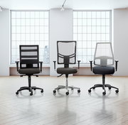 Drei moderne Drehstühle mit Netzrückenlehne und Armlehnen, frontal in einem hellen Raum mit großen Fenstern präsentiert.