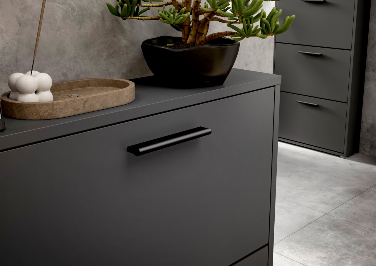 Moderner Schuhkipper in dunklem Grau mit schwarzem Griff, seitliche Perspektive, dekoriert mit Pflanze und Schale.