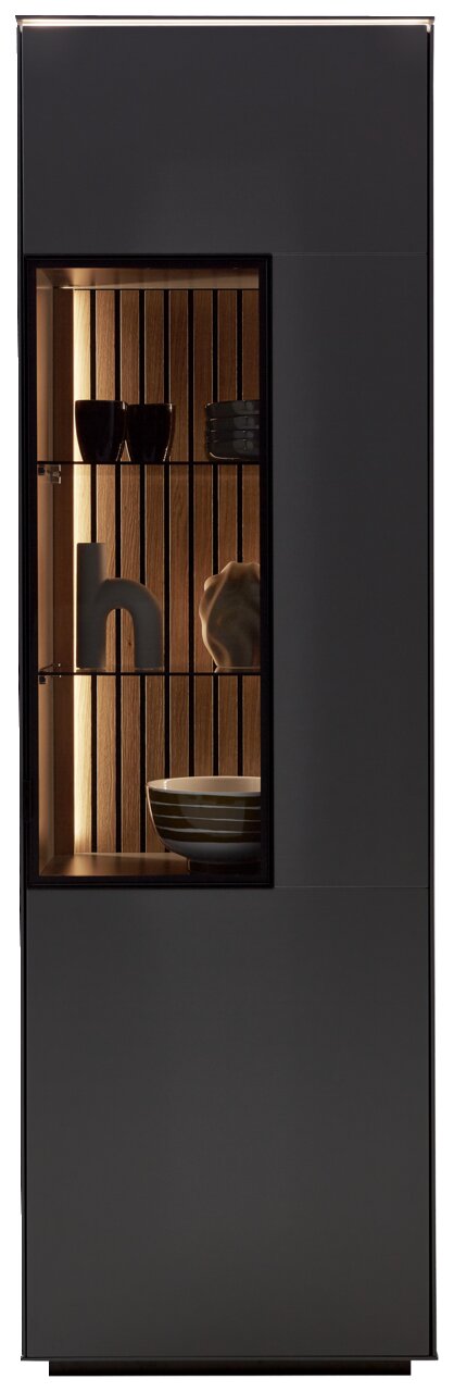 Moderne Vitrine mit Glasfront, seitliche Perspektive, beleuchtete Holzrückwand und dekorative Objekte im Inneren.