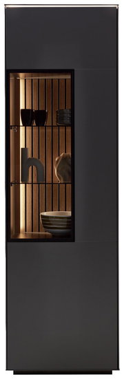 Moderne Vitrine mit Glasfront, seitliche Perspektive, beleuchtete Holzrückwand und dekorative Objekte im Inneren.