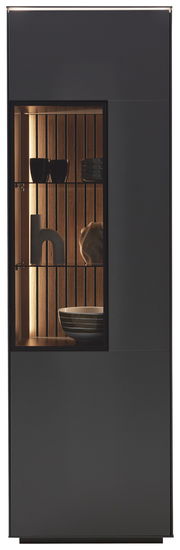 Moderne Vitrine mit Glasfront, seitliche Perspektive, beleuchtete Holzrückwand und dekorative Objekte im Inneren.