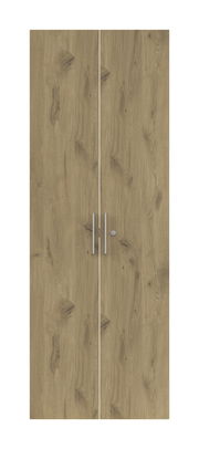 Zweiflügelige Holztür mit natürlicher Holzmaserung und silbernen Griffen, Frontalansicht