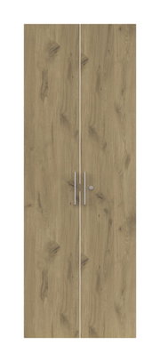Zweiflügelige Holztür mit natürlicher Holzmaserung und silbernen Griffen, Frontalansicht
