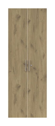 Zweiflügelige Holztür mit natürlicher Holzmaserung und silbernen Griffen, Frontalansicht