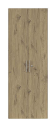 Zweiflügelige Holztür mit natürlicher Holzmaserung und silbernen Griffen, Frontalansicht