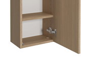 Hängeschrank aus Holz mit geöffneter Tür, seitliche Perspektive