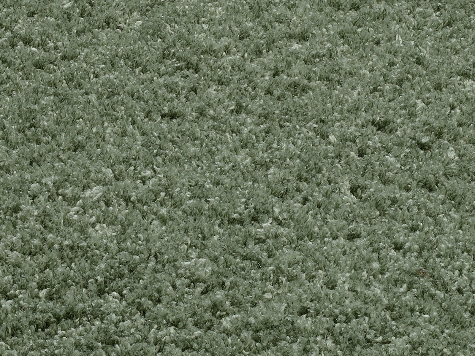 Nahaufnahme eines weichen, grünen Teppichs mit flauschiger Textur, Draufsicht