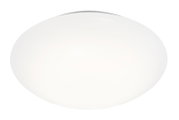 Witte ovale plafondlamp met matte kap, gefotografeerd van onderaf (frontaal) op een witte achtergrond