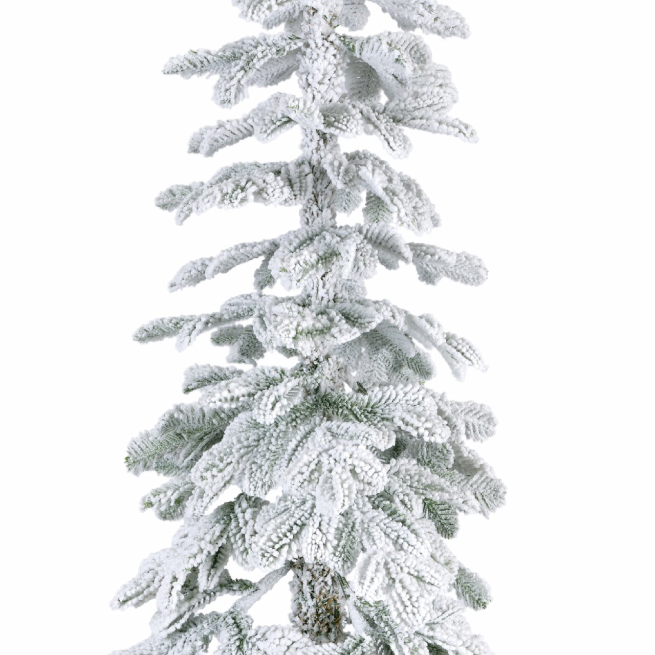 Een besneeuwde alpenspar in close-up, gezien van voren.