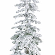 Een besneeuwde alpenspar in close-up, gezien van voren.