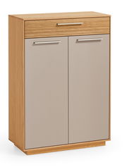 Schuhkommode aus Holz mit zwei Türen und einer Schublade, Frontansicht