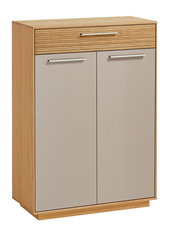 Schuhkommode aus Holz mit zwei Türen und einer Schublade, Frontansicht