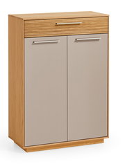 Schuhkommode aus Holz mit zwei Türen und einer Schublade, Frontansicht