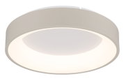 Ronde led-plafondlamp in zijaanzicht, met een strak, modern ontwerp en een gelijkmatige lichtverspreiding.