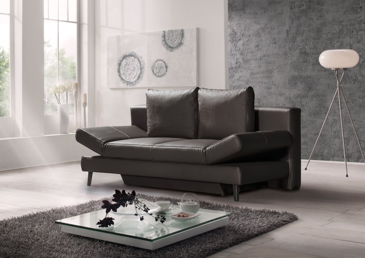 Modernes Querschläfer-Sofa in dunklem Leder, seitliche Perspektive, in einem stilvoll eingerichteten Wohnzimmer mit großen Fenstern und dekorativen Elementen.