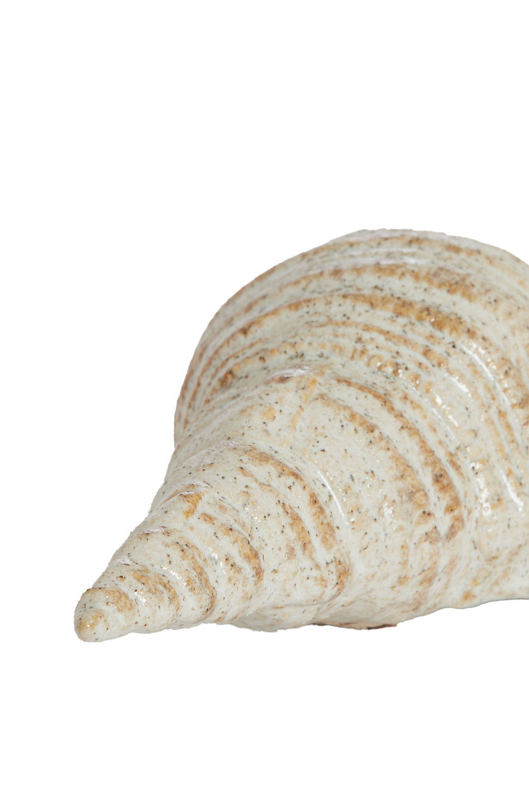 Nahaufnahme einer dekorativen Muschel mit spiralförmigem Muster und natürlicher Farbgebung.