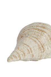 Nahaufnahme einer dekorativen Muschel mit spiralförmigem Muster und natürlicher Farbgebung.