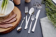 Elegante bestekset King, 100-delig, van roestvrij staal, bestaande uit mes, vork, lepel en theelepel, gerangschikt op een donkere leisteenplaat, omringd door verse kruiden en specerijen. Bovenaanzicht.