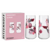 Twee elegante glazen met een tropisch ontwerp, versierd met roze kaketoes en granaatappels, in een stijlvolle verpakking. Vooraanzicht.