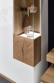 Detailansicht einer modernen Wandkombination mit Glasregal, Holzelementen und dekorativen Objekten.