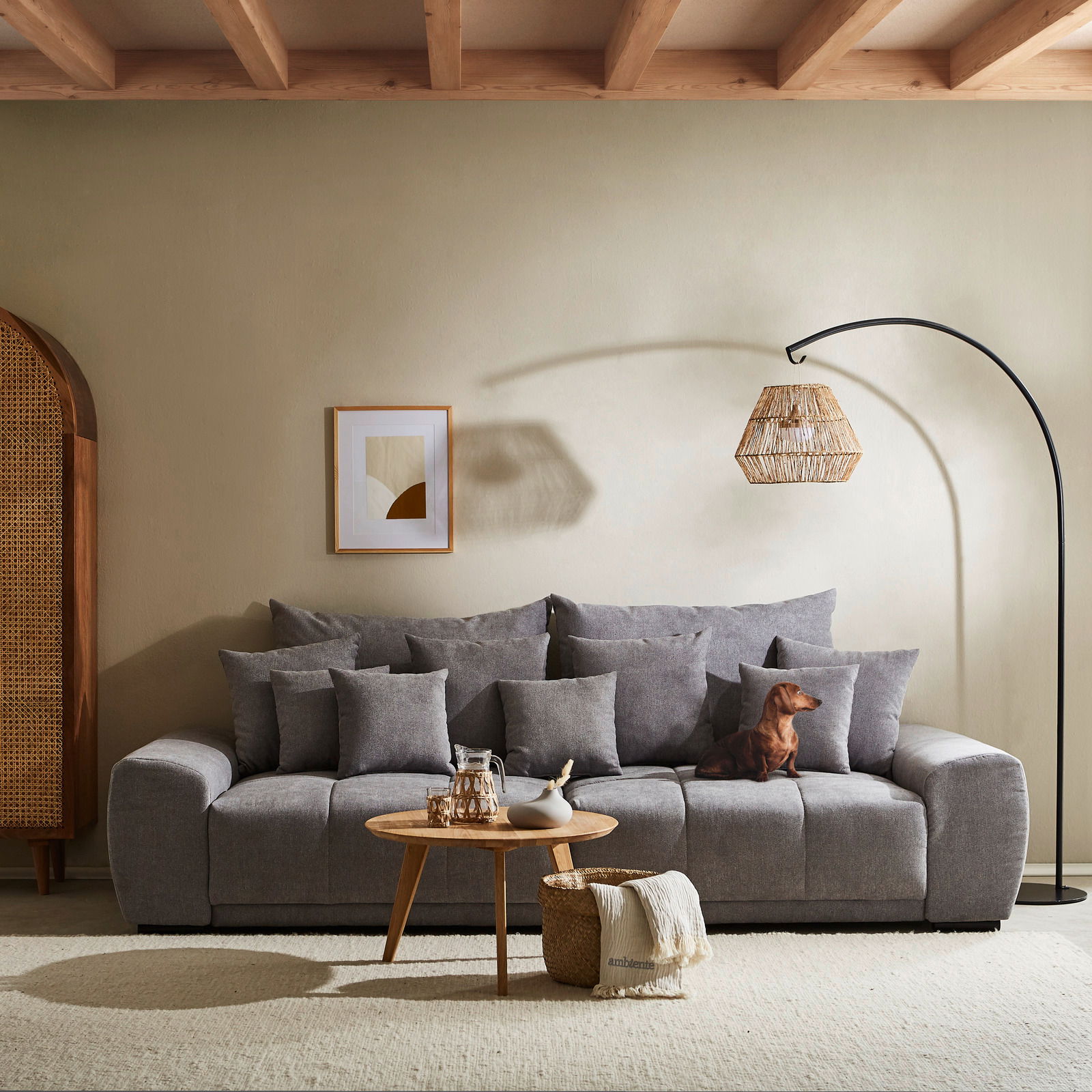 Großes graues Sofa TAVANI in einem gemütlichen Wohnzimmer, frontal fotografiert, mit mehreren Kissen und einem kleinen Hund darauf.