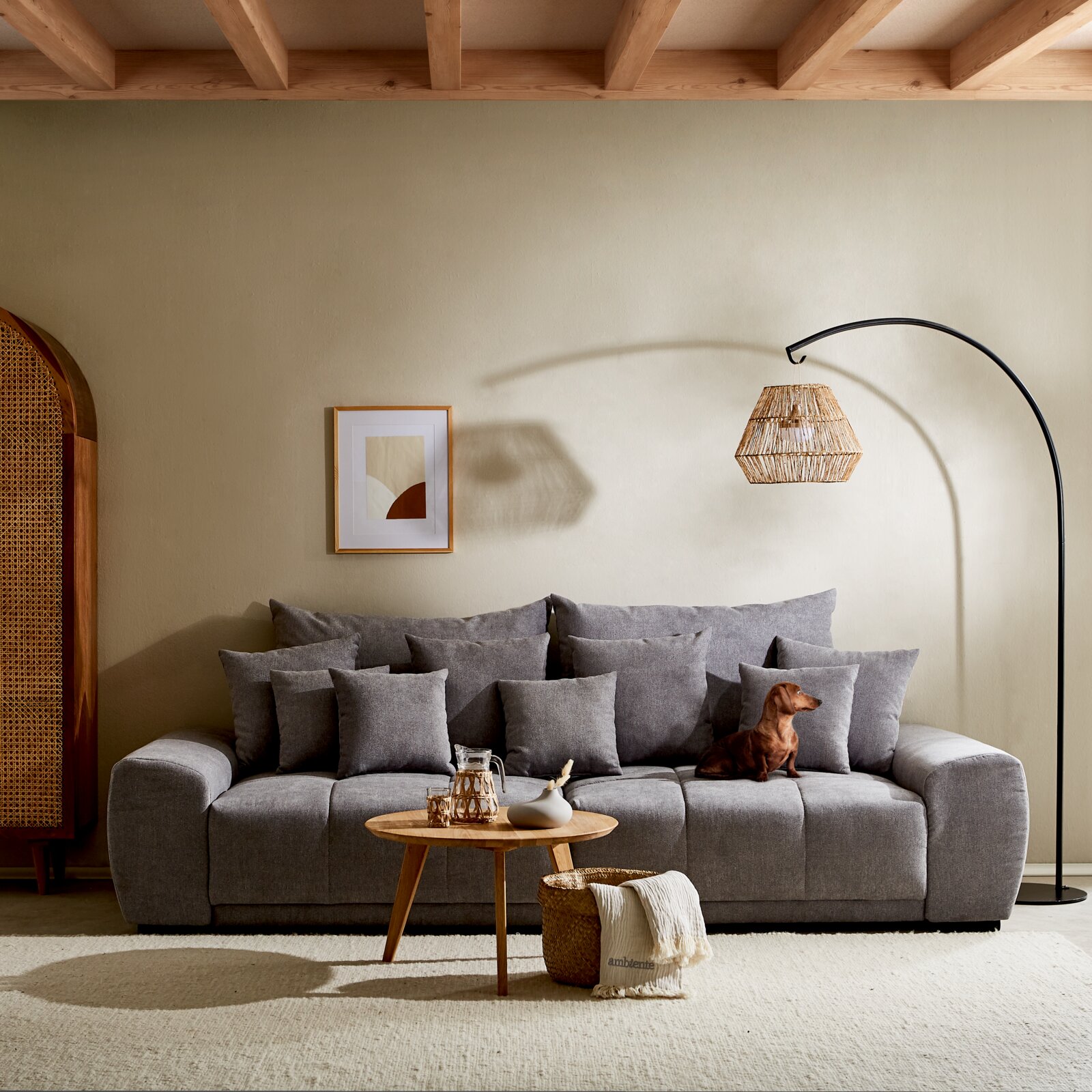 Großes graues Sofa TAVANI in einem gemütlichen Wohnzimmer, frontal fotografiert, mit mehreren Kissen und einem kleinen Hund darauf.