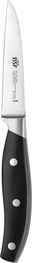 BSF Gemüsemesser DAYTONA Gemüsemesser mit schwarzem Griff und silberner Klinge, seitliche Ansicht