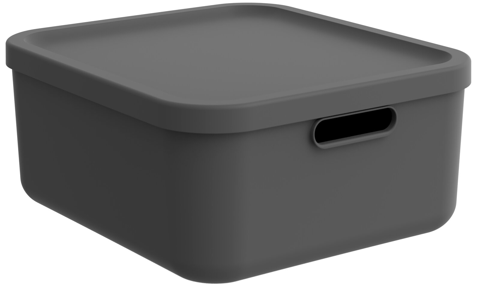 Dunkelgraue rechteckige Aufbewahrungsbox aus Kunststoff mit Deckel und seitlicher Griffmulde, schräg von vorne rechts (3/4-Perspektive) freigestellt auf weißem Hintergrund