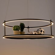 Moderne LED-hanglamp met twee ringen, versierd met kleine cactussen en sierlijke bolletjes, zijaanzicht.
