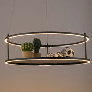 Moderne LED-Pendelleuchte mit zwei Ringen, dekoriert mit kleinen Kakteen und kunstvollen Kugeln, seitliche Perspektive.