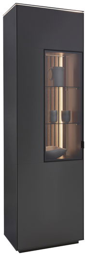 Moderne schwarze Vitrine mit Glastür, seitlicher Perspektive, beleuchtetem Innenraum und dekorativen Objekten.