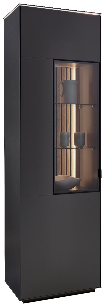 Moderne schwarze Vitrine mit Glastür, seitlicher Perspektive, beleuchtetem Innenraum und dekorativen Objekten.