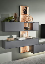 Moderne Wandkombination in dunklem Grau mit dekorativen Elementen und Pflanzen, seitliche Perspektive