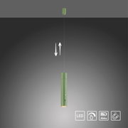 Groene hanglamp op accu met een cilindrisch ontwerp, gezien vanaf de zijkant. In hoogte verstelbaar, met ledverlichting en accusymbolen.