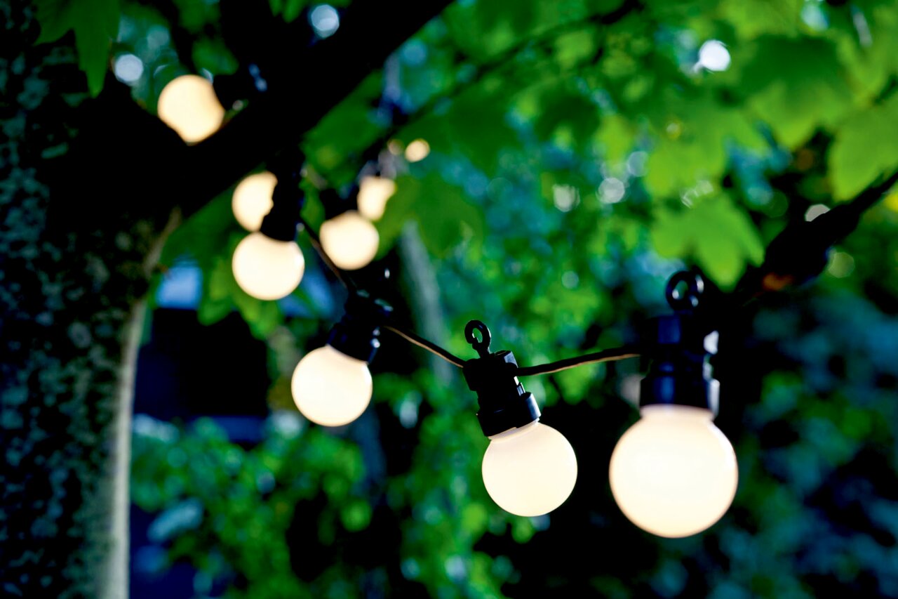 Solarbetriebene Lichterkette mit runden LED-Lampen, aufgehängt in einem Baum, aus der Nähe betrachtet.