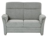 Graues 2-Sitzer-Sofa aus Stoff, Frontalansicht