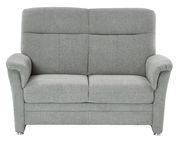 Graues 2-Sitzer-Sofa aus Stoff, Frontalansicht